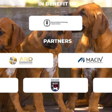 A PetDriver agora é parceira ARD Foundation!