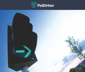 PETDRIVER-arrow-buildings-city-332787