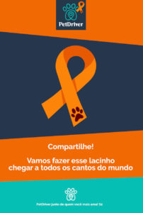 info-grafico_petdriver-abril-laranja-BLOG