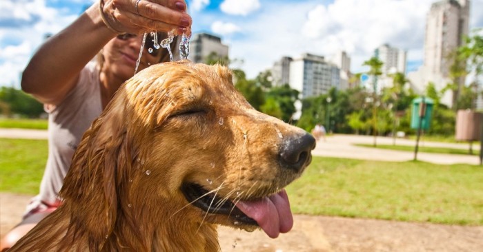 parque do povo 1