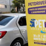 PETDRIVER_PETXP_evento-17