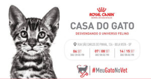 PETDRIVER_ROYALCANIN_casadogato-blog