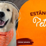 PETDRIVER_evento-Estancia-Pet-6Edicao_1