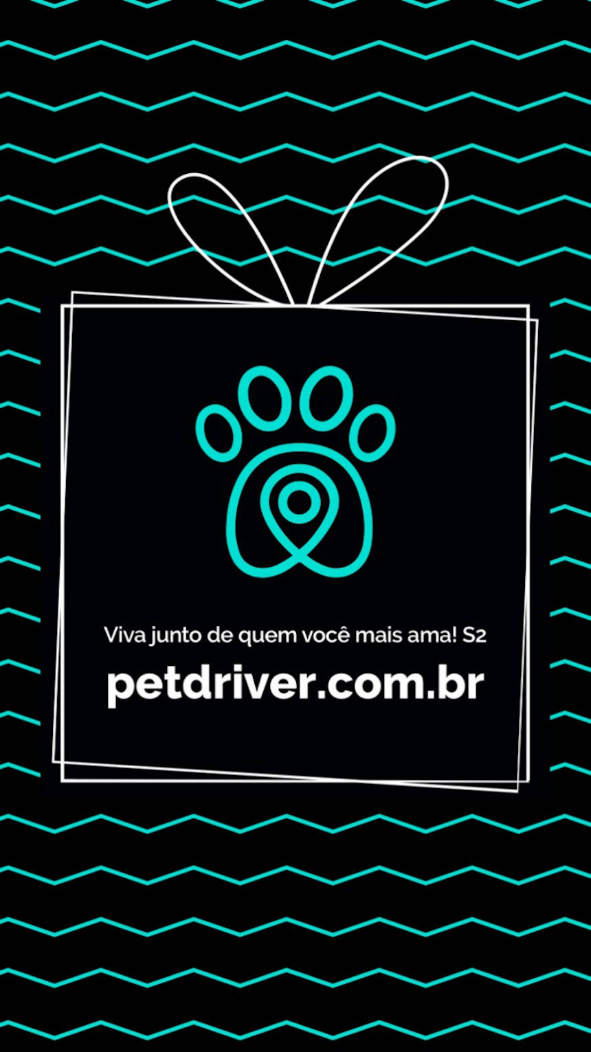PETDRIVER_black-friday_19_blog(02)