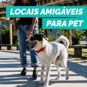 post-blog-petdriver-novembro-locais-petfriendly-2