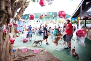 Festas pet: como escolher o local mais adequado para o seu evento