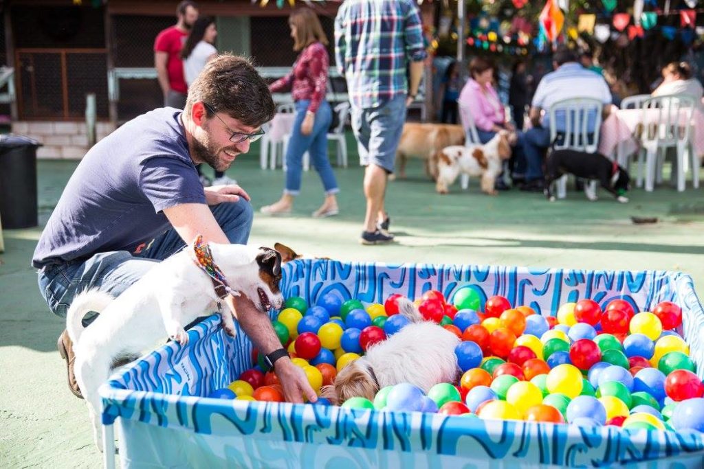 Festas pet: como escolher o local mais adequado para o seu evento 1 20861764 1425211647568287 8015708468779386996 o