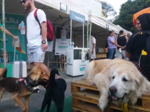 PETDRIVER_Pet-Family-Market(01).jpg