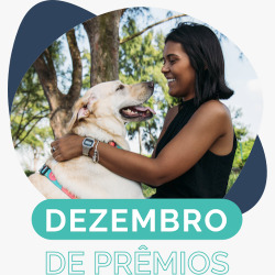 PETDRIVER_destaque_dez-de-premios.jpg