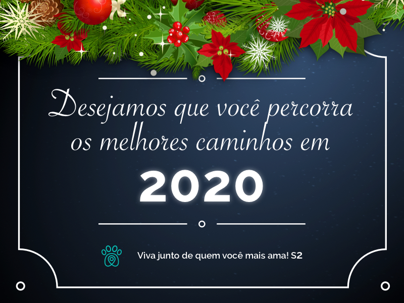 PETDRIVER melhores caminhos em 2020(03)