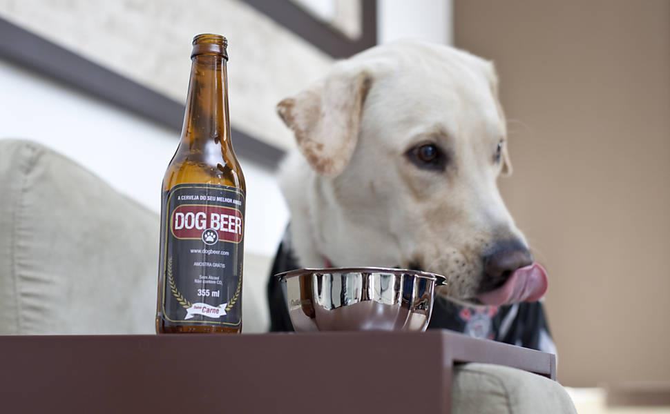 cerveja para cachorro