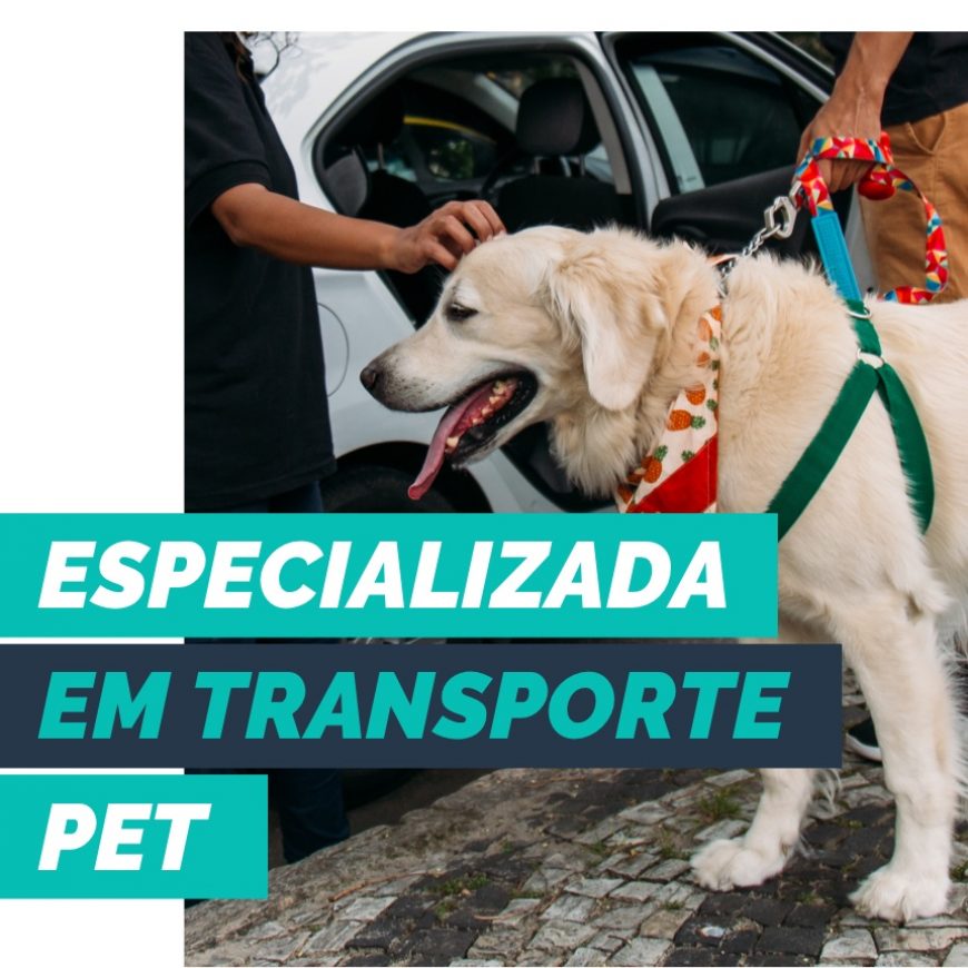 PetDriver é sinônimo transporte pet prático, confortável e econômico