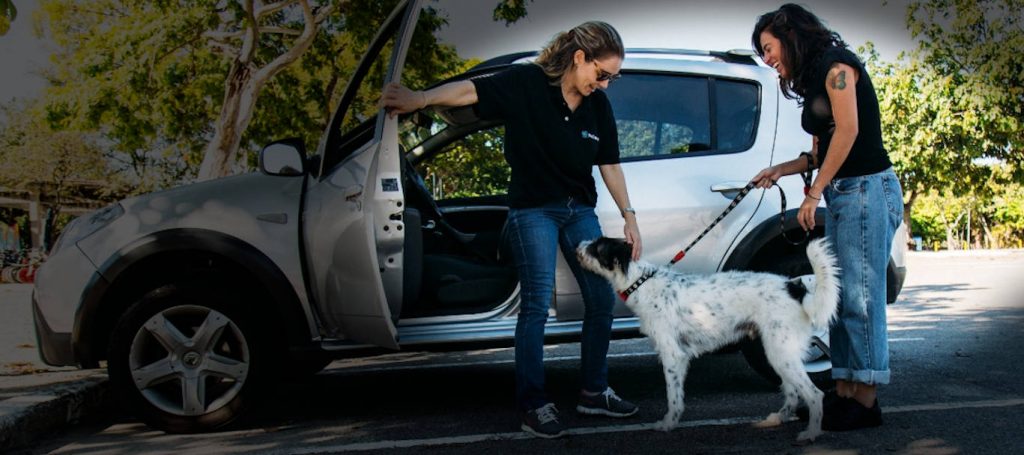 Blocos para curtir com seu pet em São Paulo 3 PETDRIVER banner web adesao 1024x455 1
