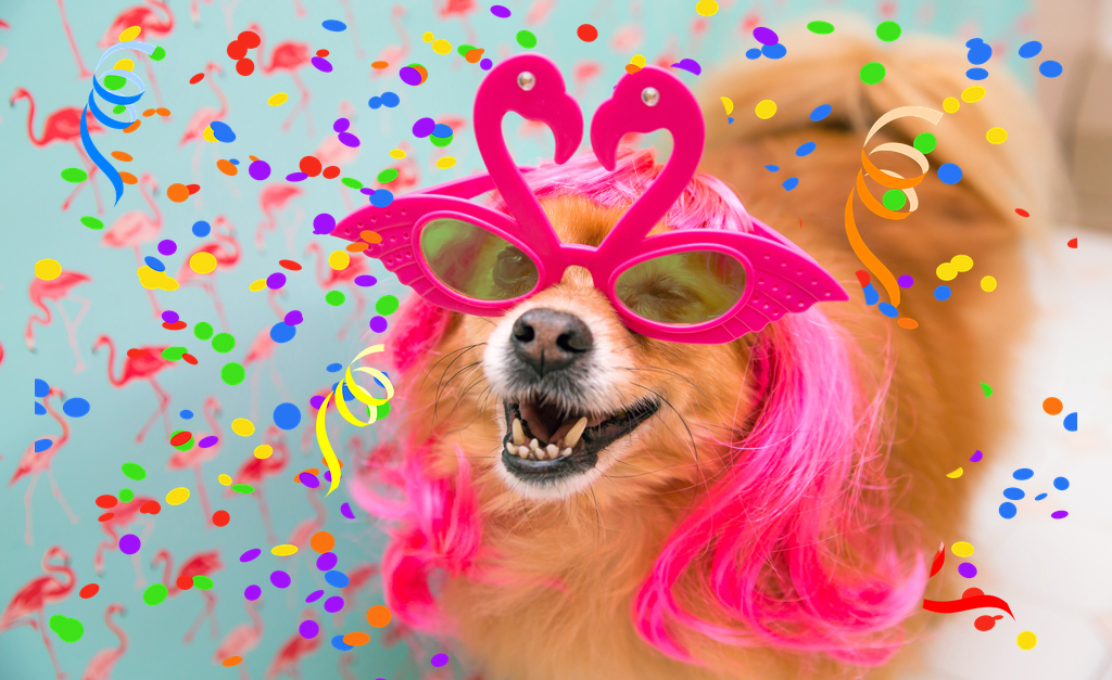 Blocos para curtir com seu pet em São Paulo 1 PETDRIVER dog carnaval copy