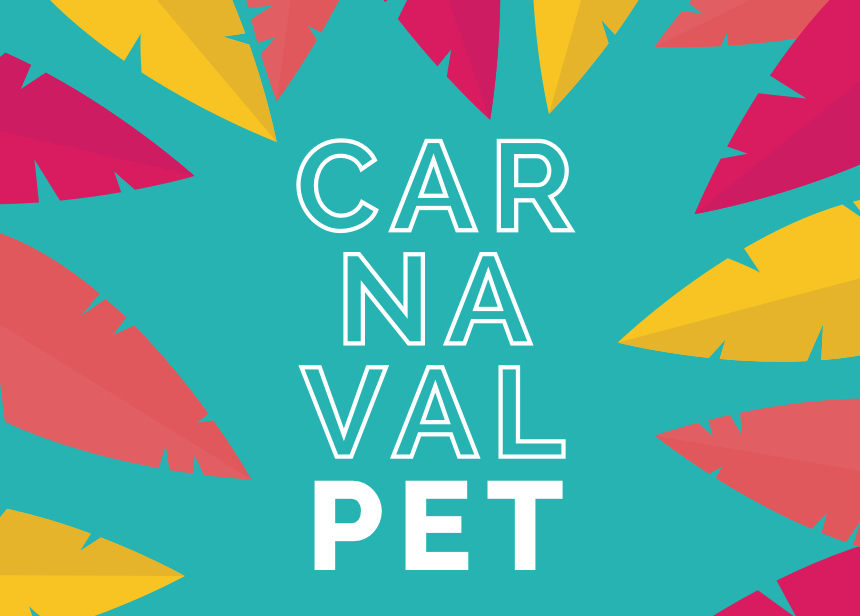 blog-petdriver-fevereiro-carnaval-01