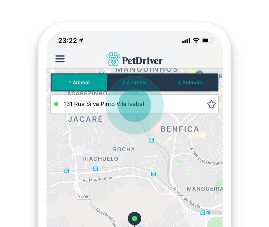 PETDRIVER_blog-faq-pet-sozinho-02