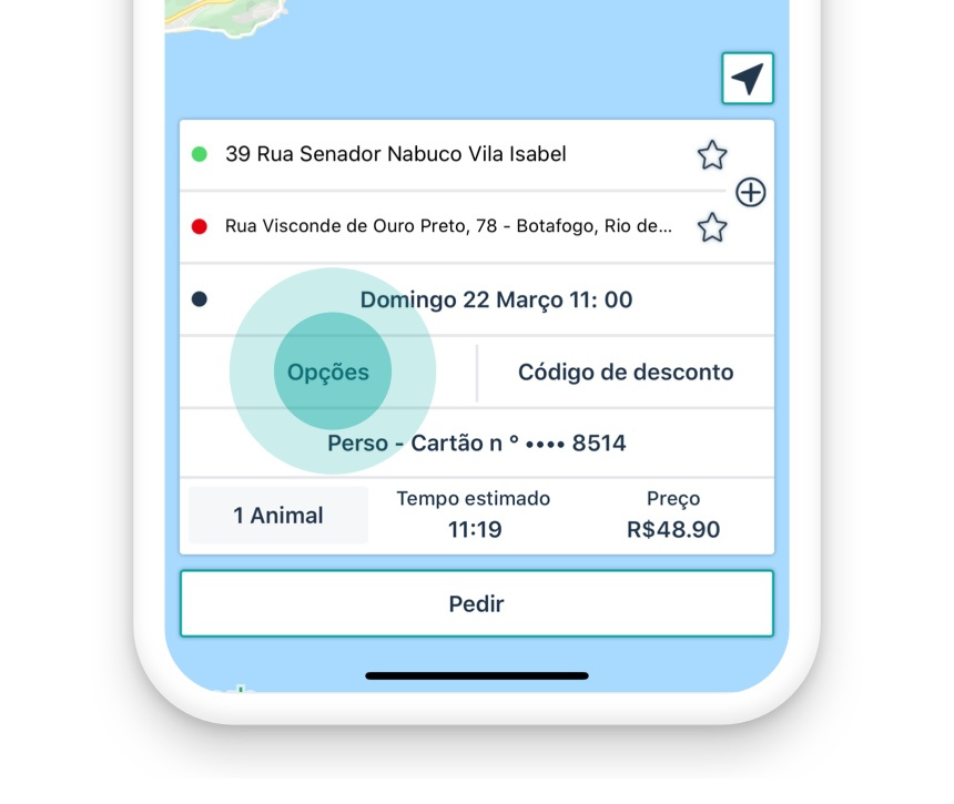 PETDRIVER_blog-faq-pet-sozinho-03