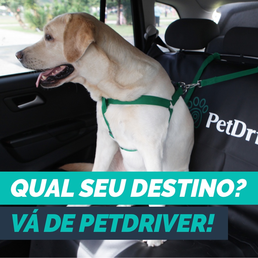 instagram-blog-post-petdriver-abril-como-os-clientes-estao-utilizando-a-petdriver-01