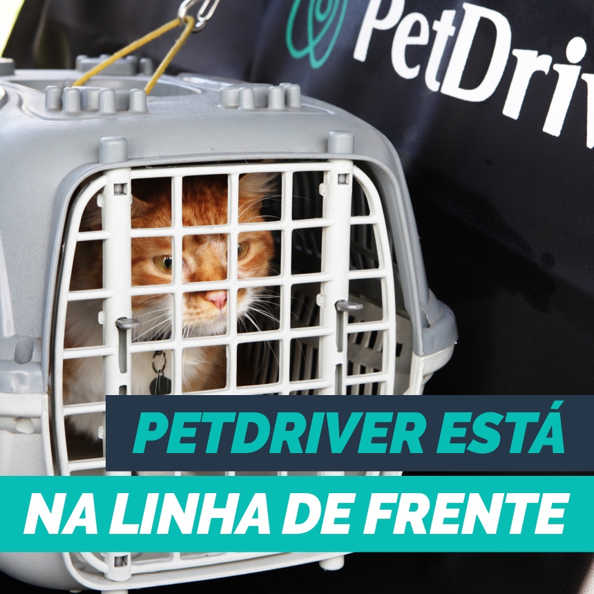 instagram-blog-post-petdriver-abril-como-os-clientes-estao-utilizando-a-petdriver-02