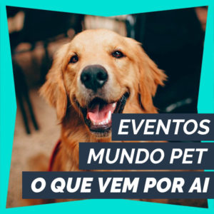 instagram-blog-post-petdriver-abril-eventos-mundo-pet-01