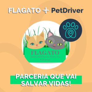 instagram-blog-post-petdriver-junho-petdriver-mais-flagato-01