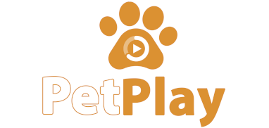 CLUBE-PETDRIVER_petplay