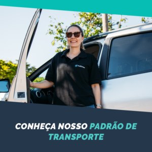 transporte de animais domésticos