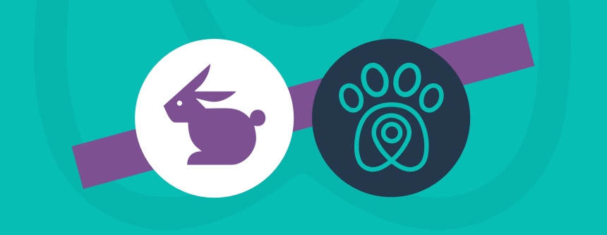 email-petdriver-julho-petdriver-mais-jobpet-area-de-oportunidades-01