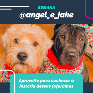 instagram-blog-post-petdriver-agosto-semana-embaixador-1