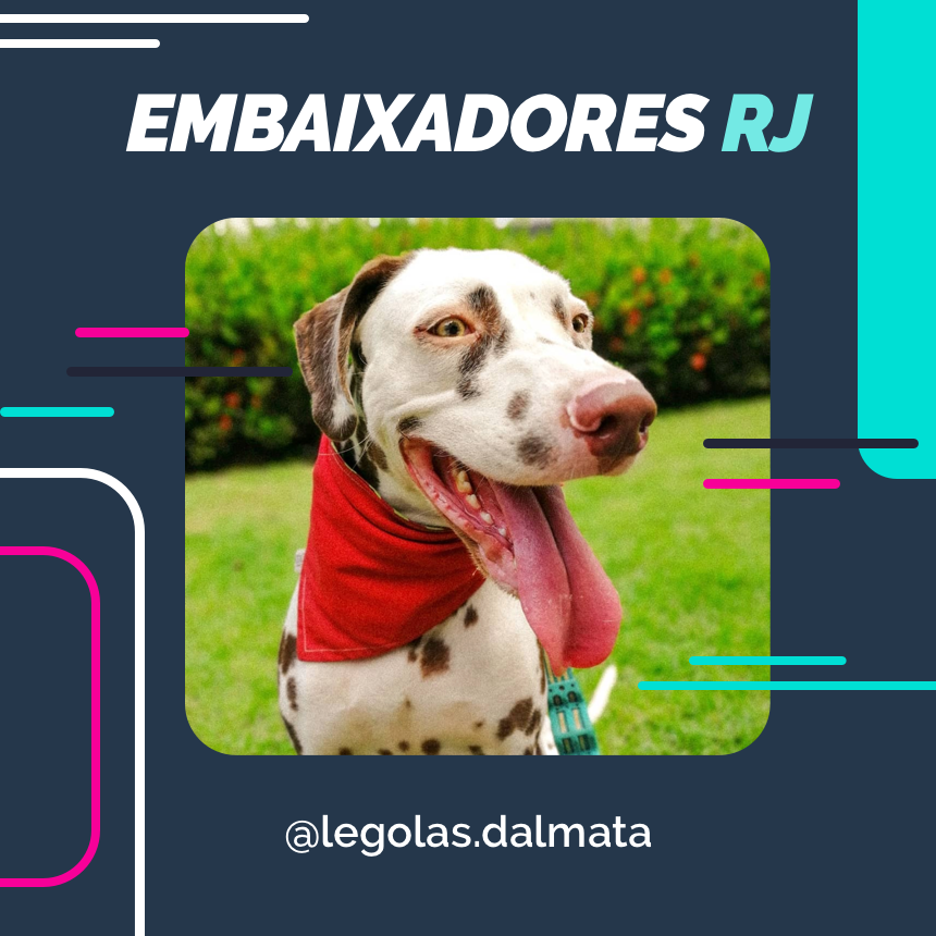 embaixador legolas.dalmata