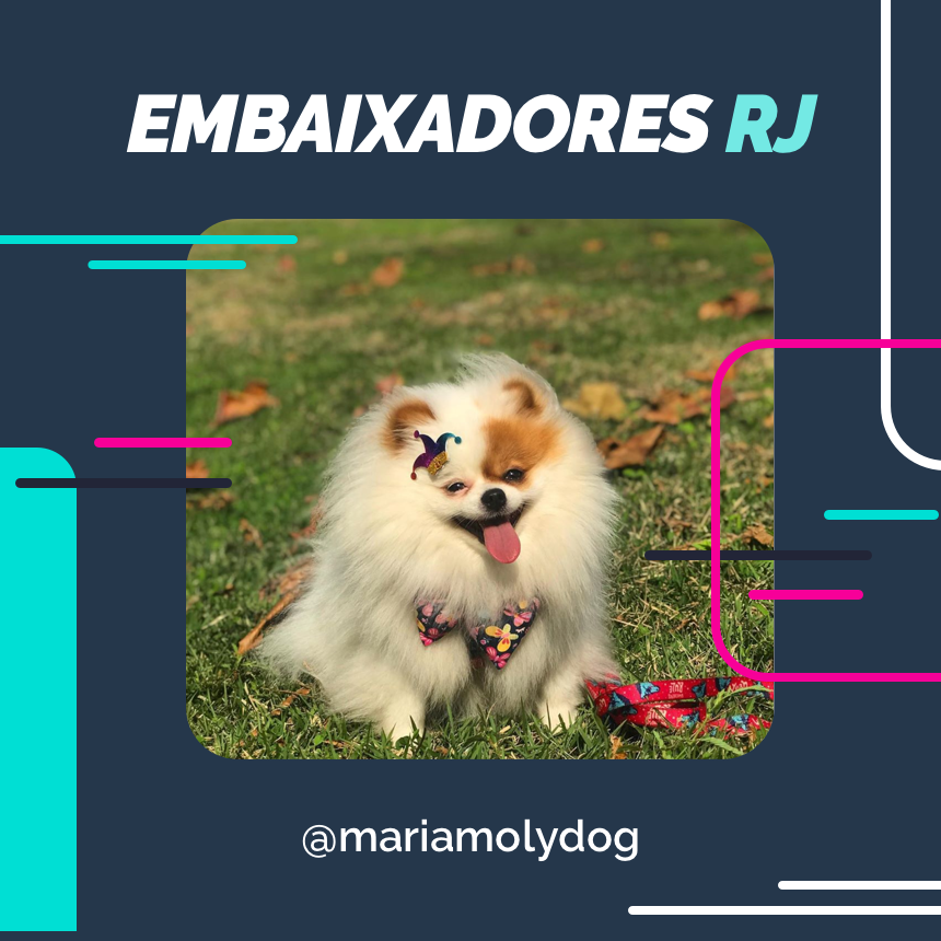 embaixador mariamolydog