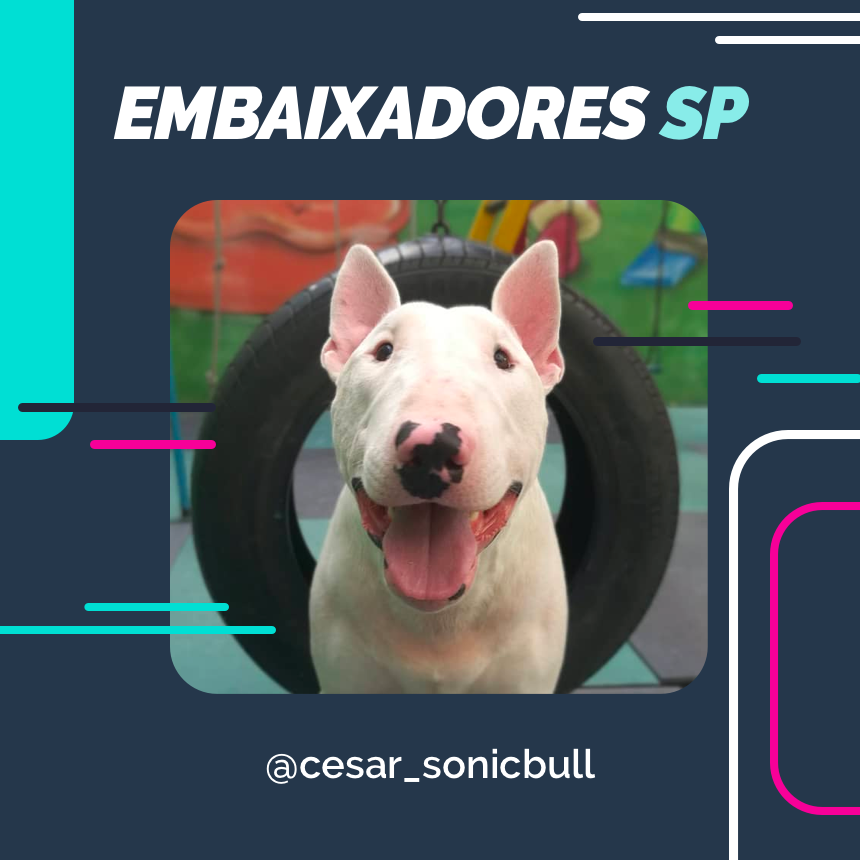 embaixador cesar_sonicbull