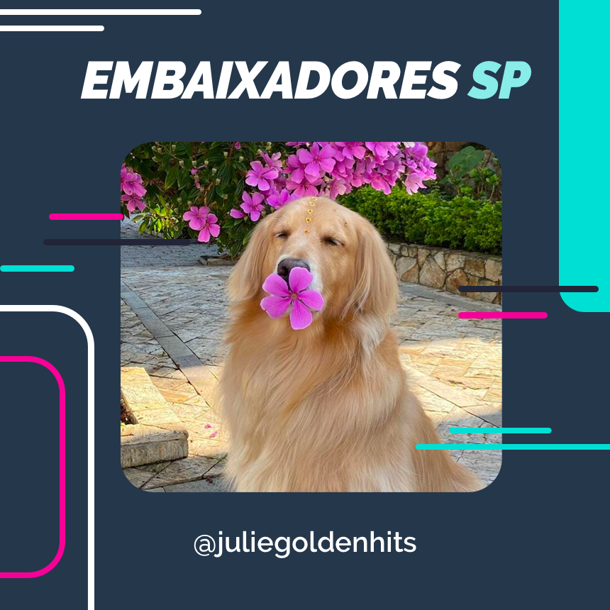 embaixador juliegoldenhits