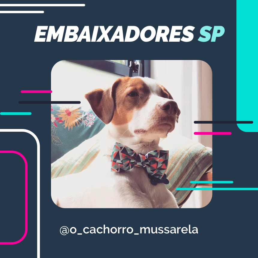 embaixador o_cachorro_mussarela