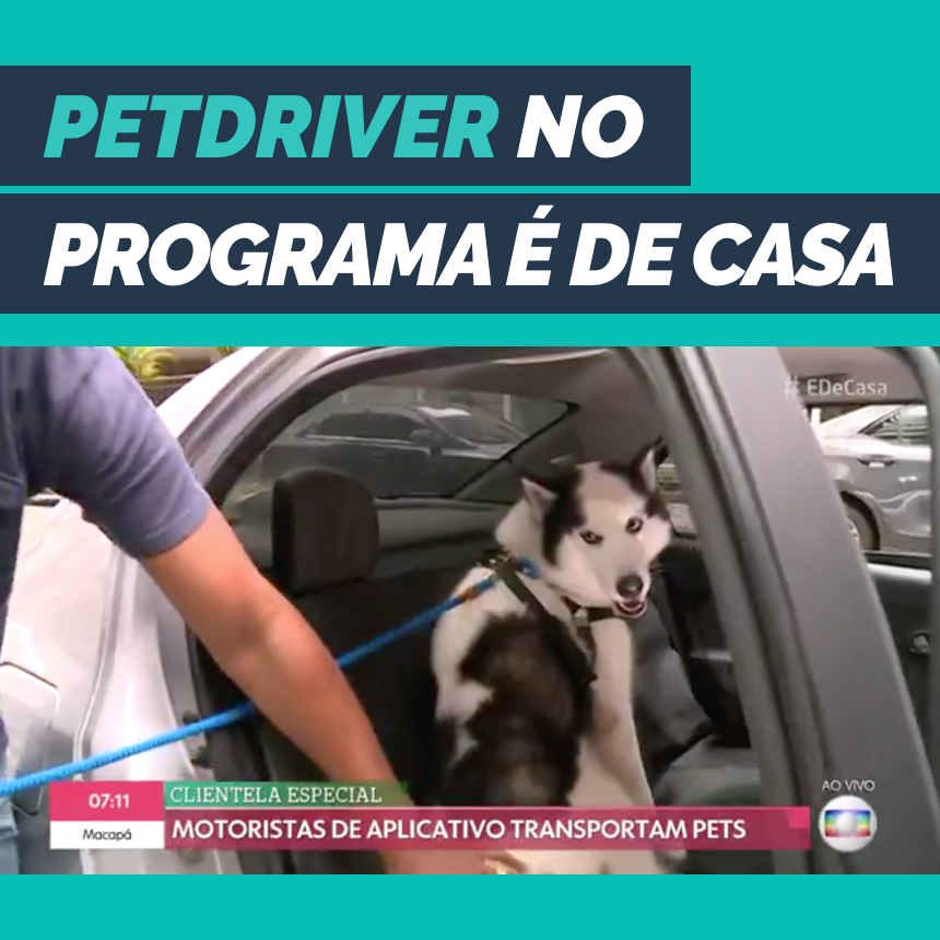 PetDriver é destaque no programa É de Casa, da Rede Globo 