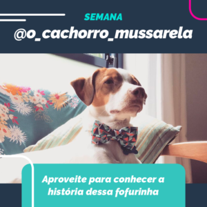 instagram-blog-post-petdriver-agosto-semana-embaixador-5