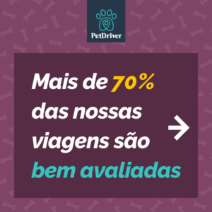 petdriver é bom