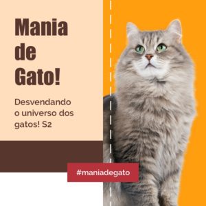 transporte de gato