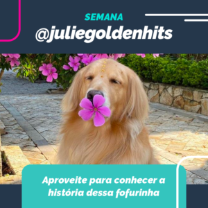 instagram-blog-post-petdriver-agosto-semana-embaixador-10