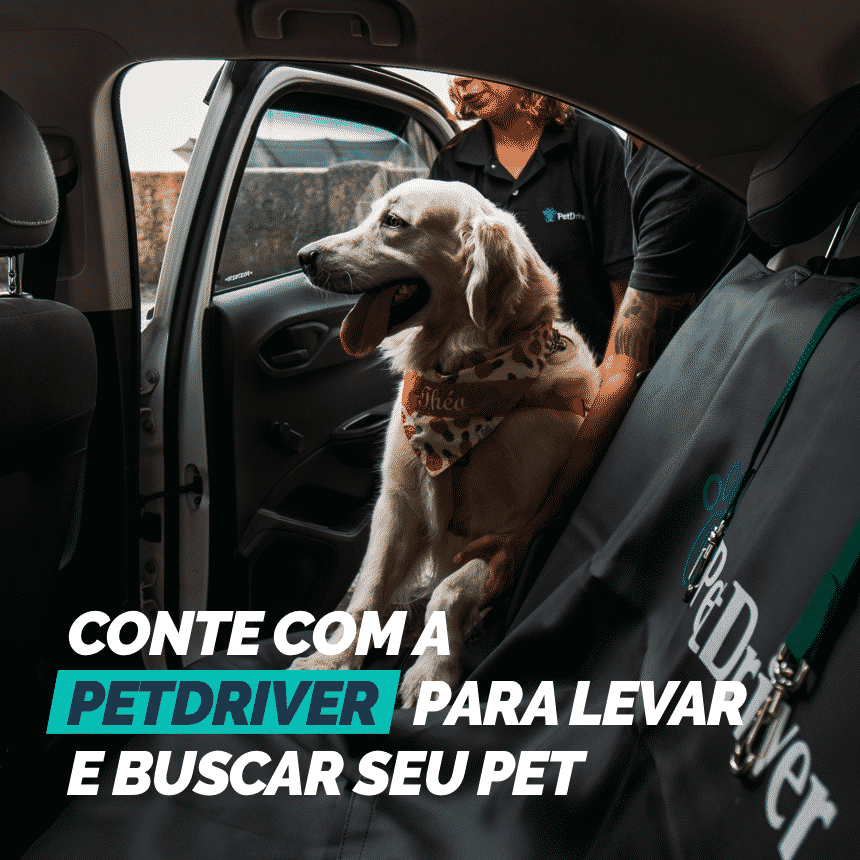 transporte pet petdriver