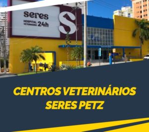 blog-setembro-petdriver-&-petz-2d (1)