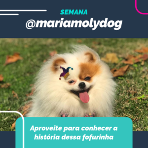 instagram-blog-post-petdriver-agosto-semana-embaixador-13