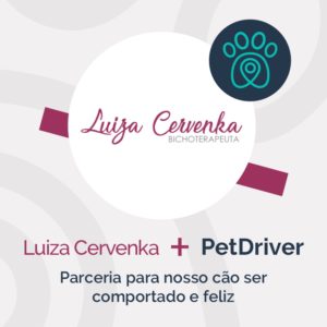 post-outubro-petdriver-mais-luiza-cervenka-1