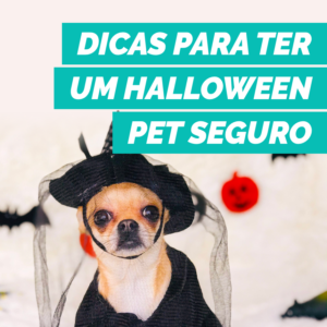 post-petdriver-outubro-halloween-1