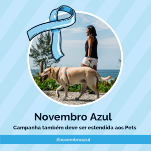 blog-post-petdriver-novembro-novembroazul-2