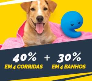 blog-setembro-petdriver-&-petz-2e