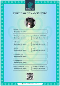 PETDRIVER_certidao-de-nascimento-pet(1)