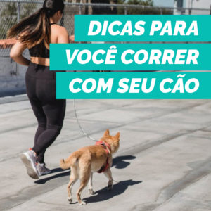 corrida cachorro petdriver