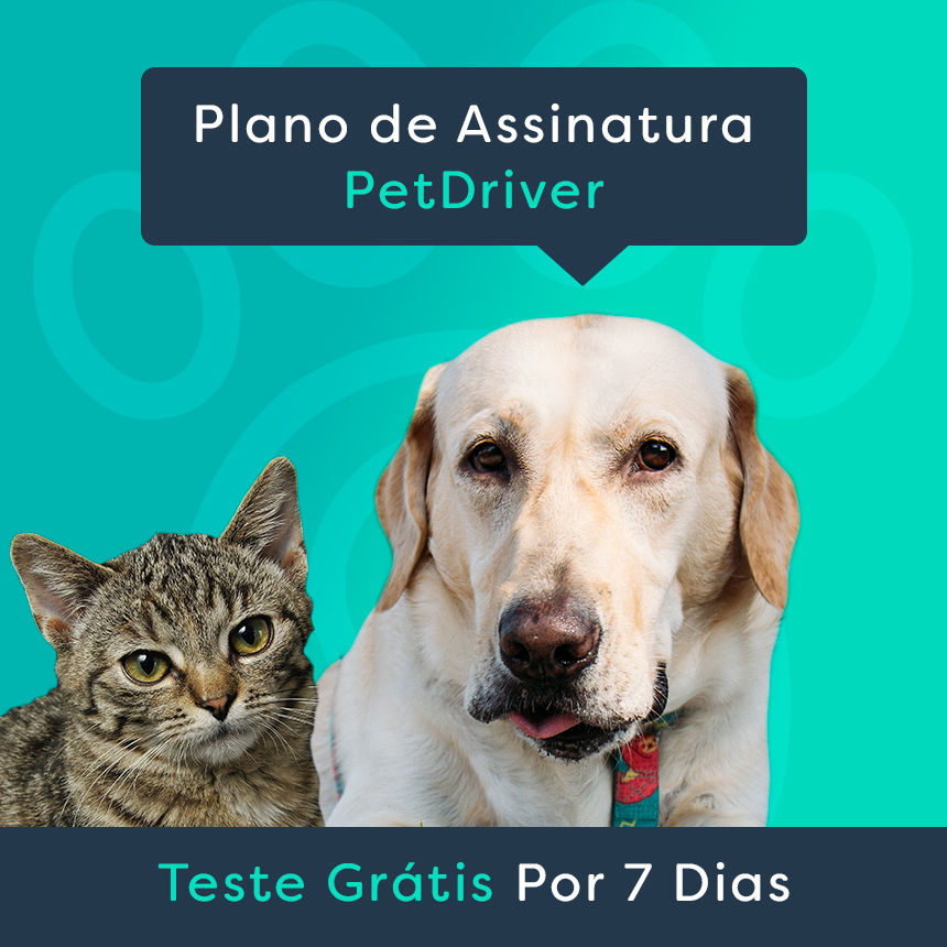 PETDRIVER_plano-de-assinatura-7dias_blog