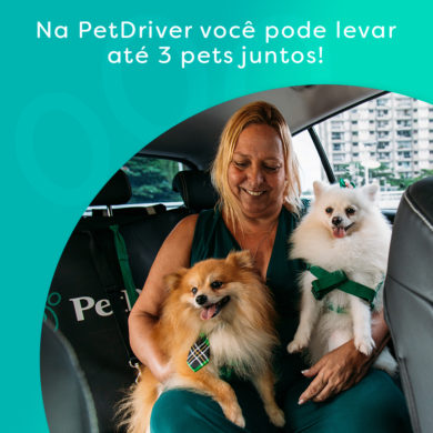 Transporte pet: viaje com até 3 animais de estimação de uma só vez com a PetDriver